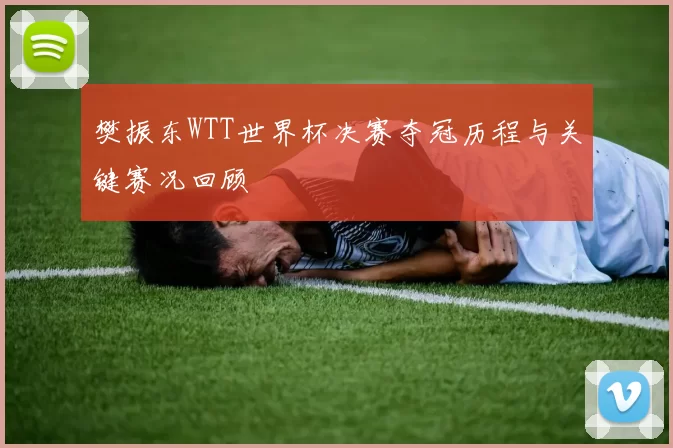 樊振东WTT世界杯决赛夺冠历程与关键赛况回顾