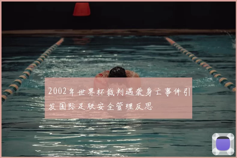 2002年世界杯裁判遇袭身亡事件引发国际足联安全管理反思