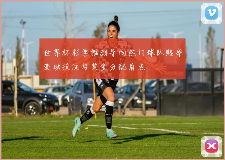 世界杯彩票推测导向热门球队赔率变动投注与奖金分配看点