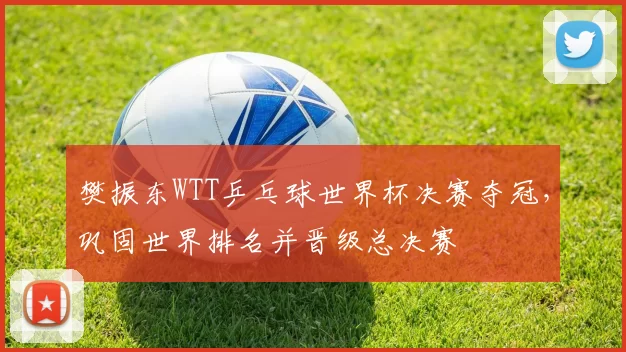 樊振东WTT乒乓球世界杯决赛夺冠，巩固世界排名并晋级总决赛