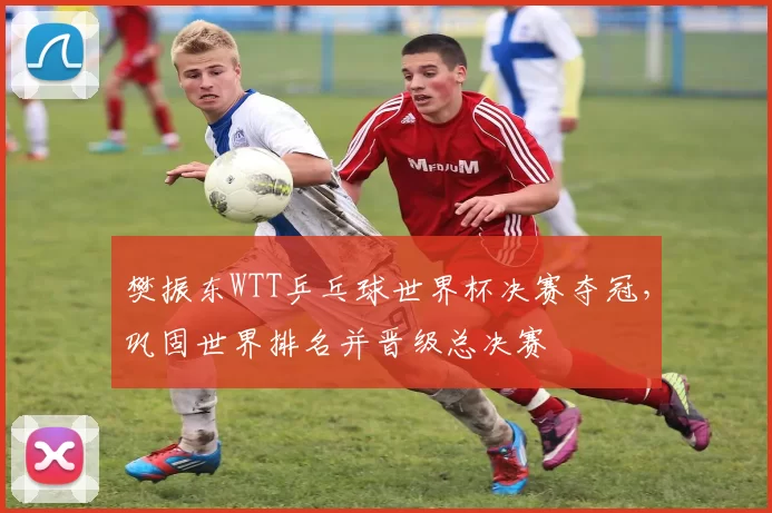 樊振东WTT乒乓球世界杯决赛夺冠，巩固世界排名并晋级总决赛