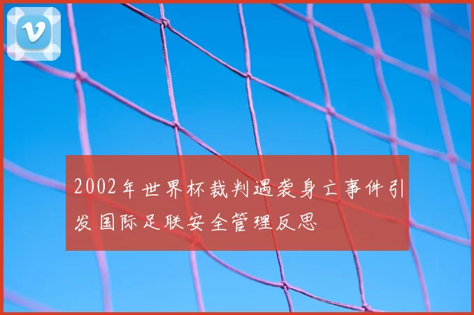 2002年世界杯裁判遇袭身亡事件引发国际足联安全管理反思